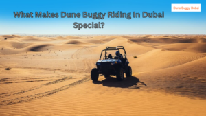 Read more about the article What Makes Dune Buggy Riding In Dubai Special?