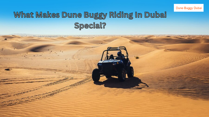 You are currently viewing What Makes Dune Buggy Riding In Dubai Special?